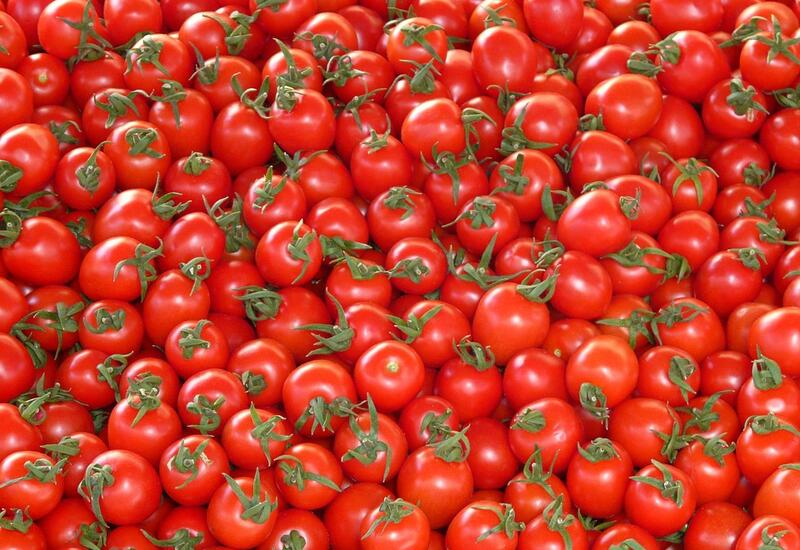 CAP BON SARDINE A LA TOMATE 110G X 24