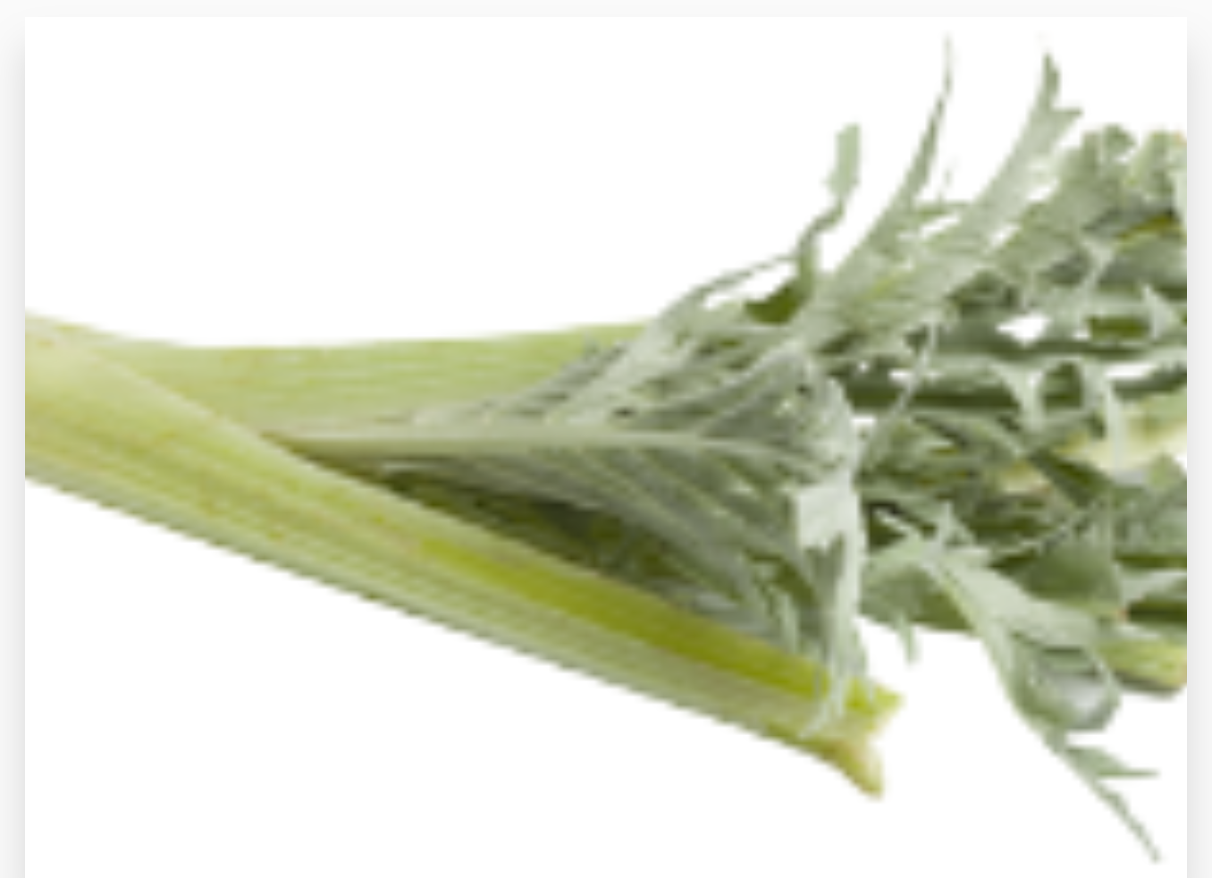 CARDE 10.2KG
