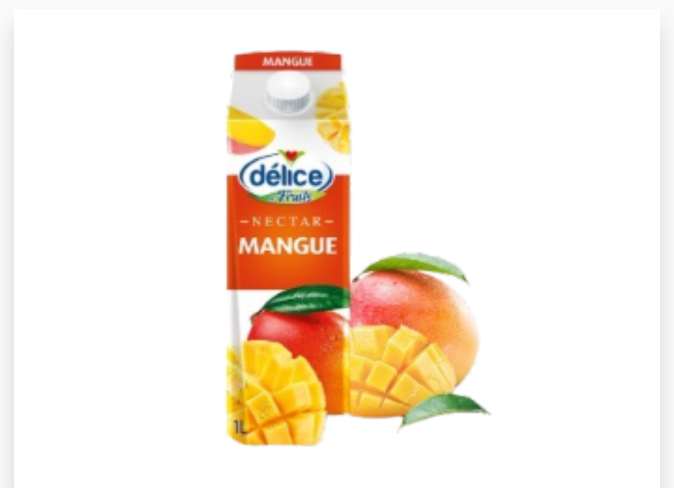 DELICE JUS MANGUE 1L x 6