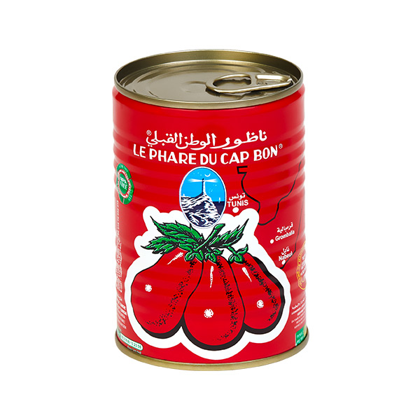 DOUBLE CONCENTRE TOMATE CAP BON 800G
