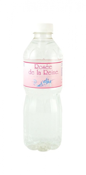 EAU FONTAINE DE LA REINE 50CL X 12
