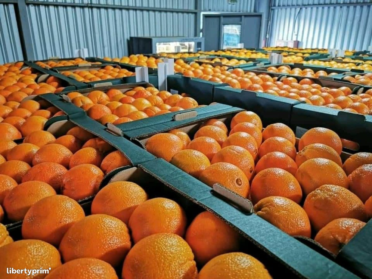 FANTA ORANGE IMPORT 1.5L x 6
