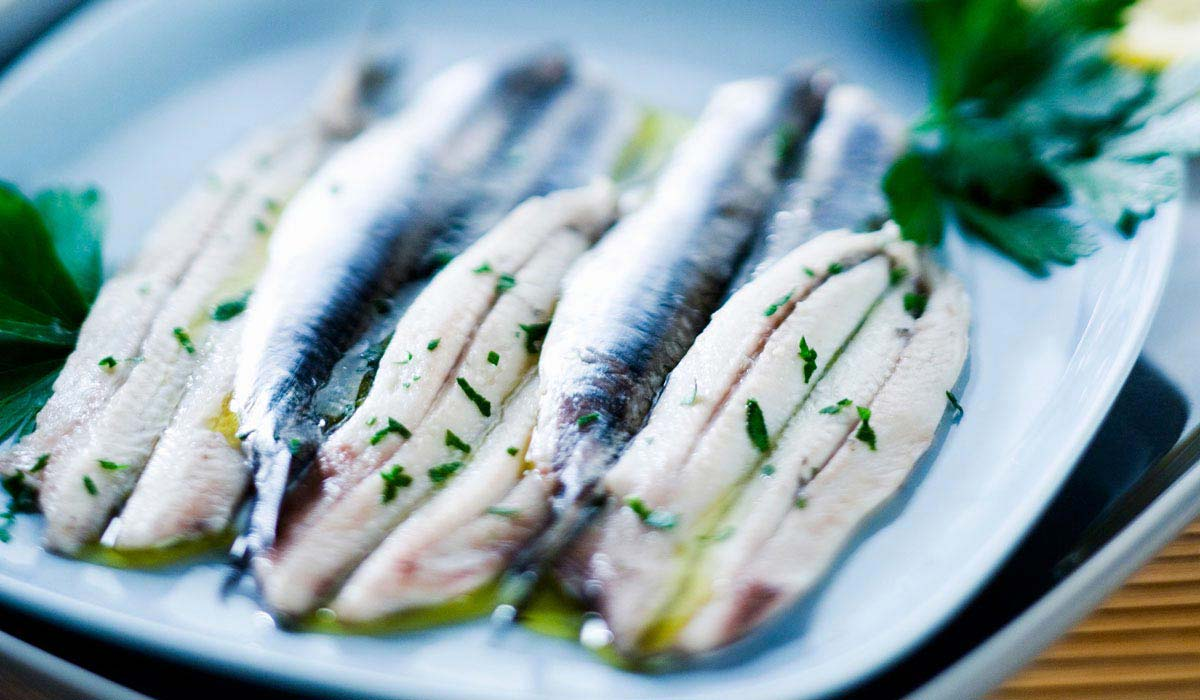 FILET D'ARGENT FILETS D'ANCHOIS 100G X 24