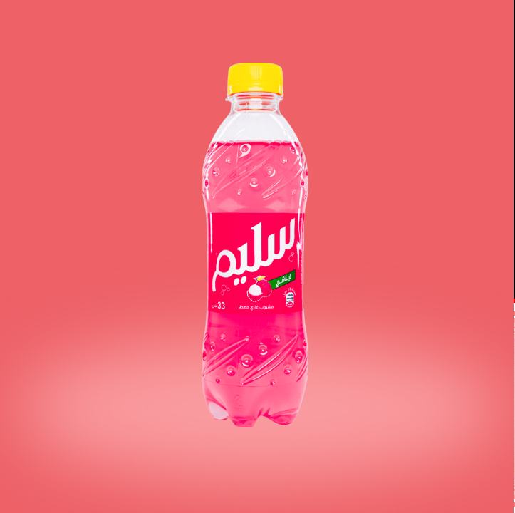 HAMOUD PET LITCHI 33CL X 12