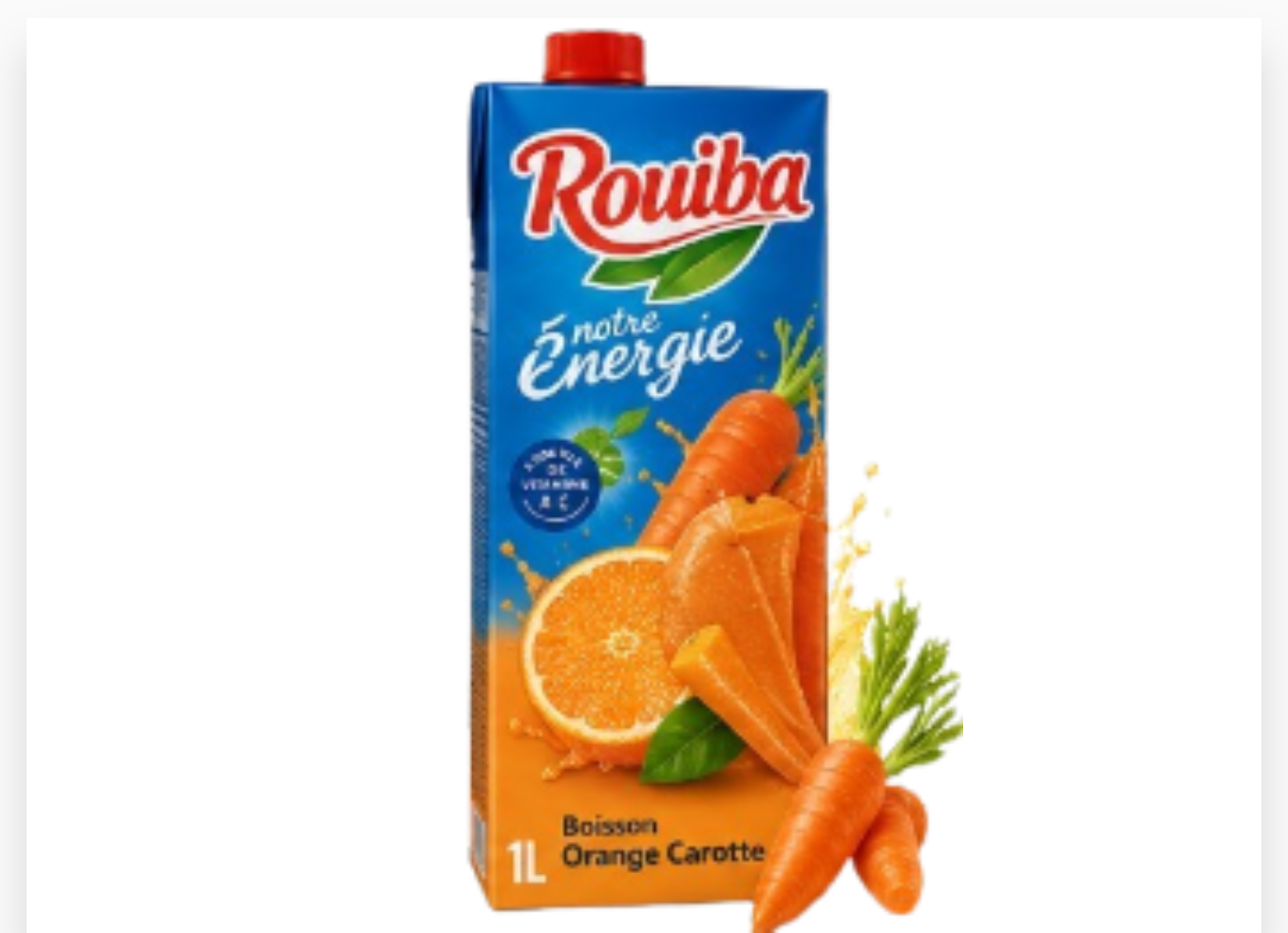 JUS ROUIBA ORANGE CAROTTE BRIQUE 1L X 8