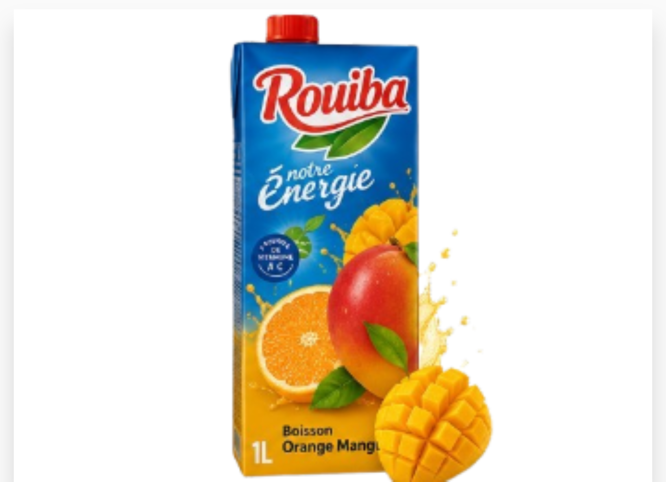 JUS ROUIBA ORANGE MANGUE BRIQUE 1L X 8