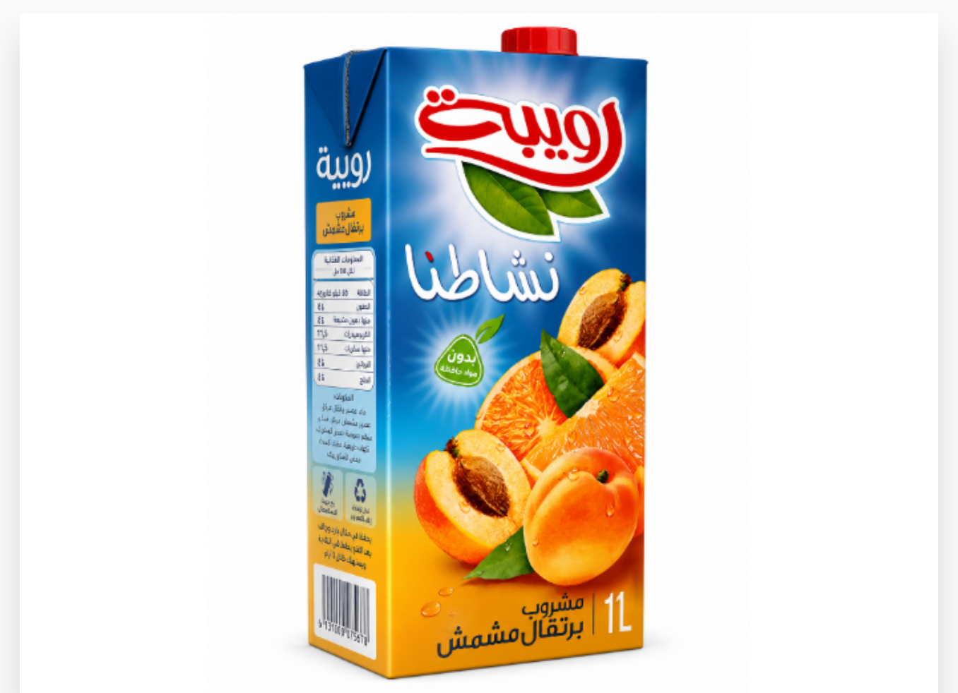 JUS ROUIBA  PECHE BRIQUE 1L X 8