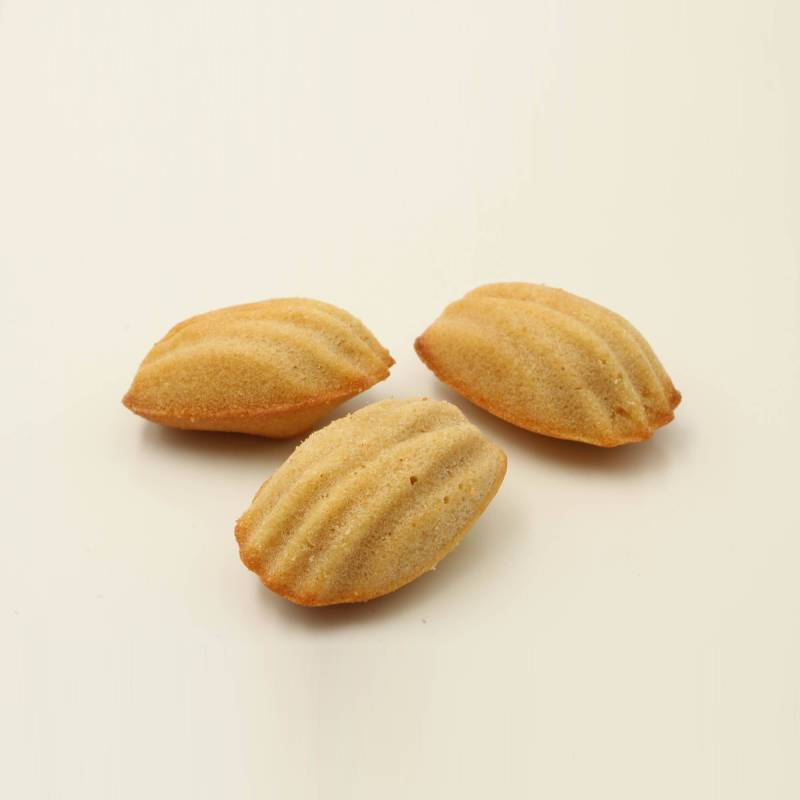MADELEINE MARBREE X 18