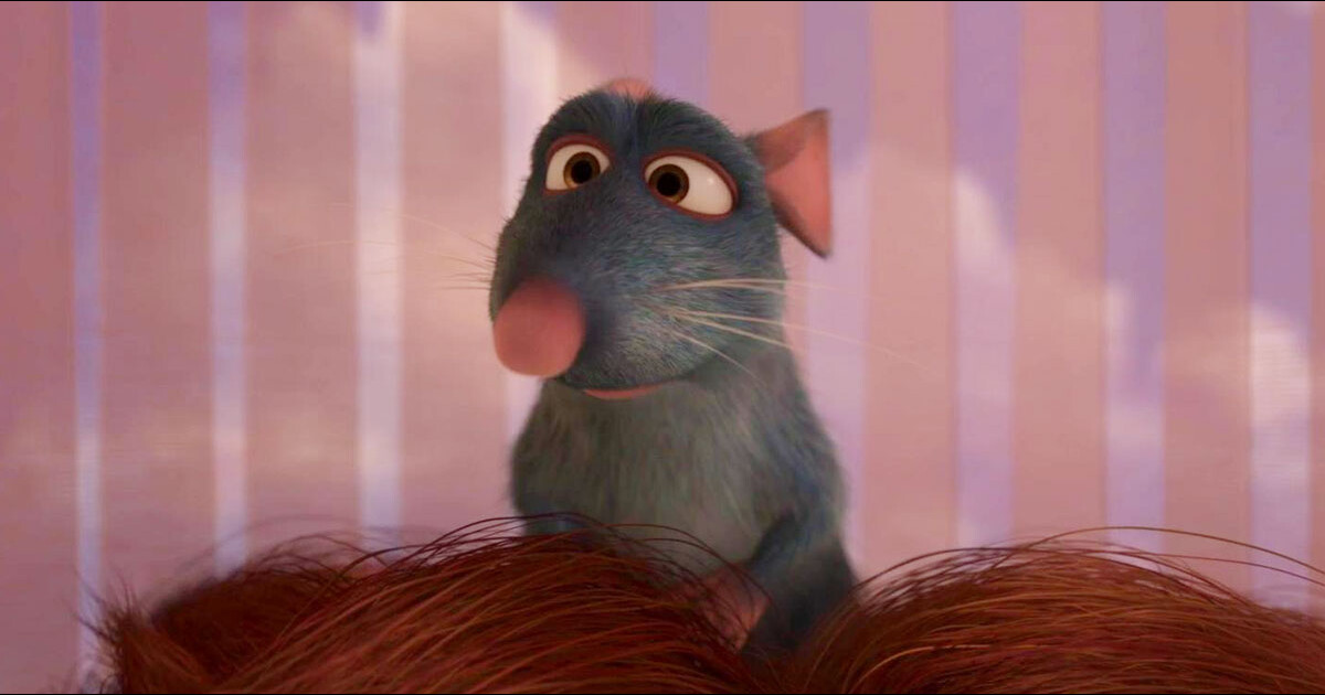 RATATOUILLE 5/1 X 3 LES JARDINS D'ADRIEN