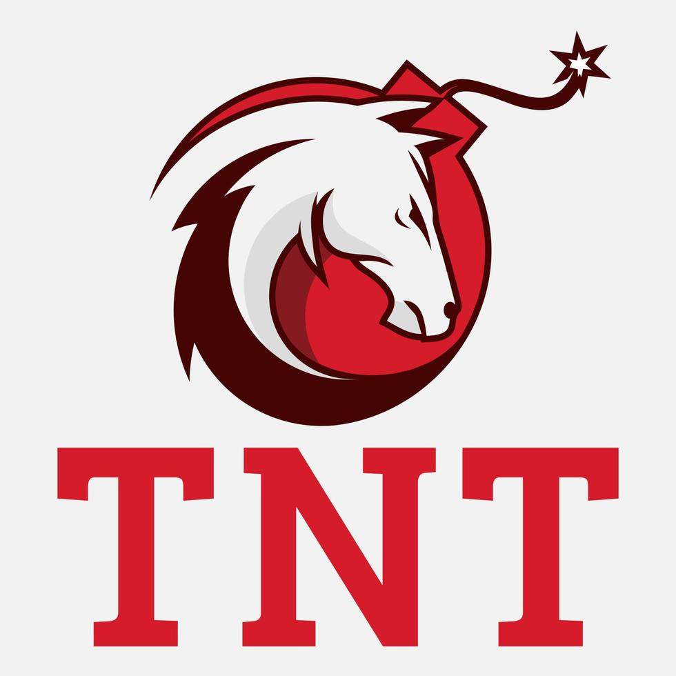 TNT BLACK HORSE PET 33 CL x 12