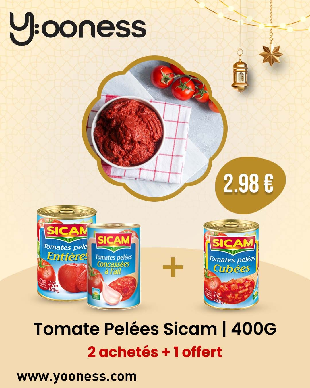 TOMATES PELEE CONCASSE PIMENTES 4% SICAM 400G X 24