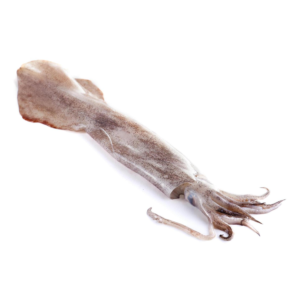 Anneaux De Calamar Sachet 1Kg
