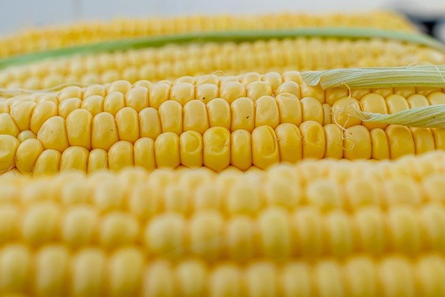 AMIDON DE MAIS 500G EL MORDJENE