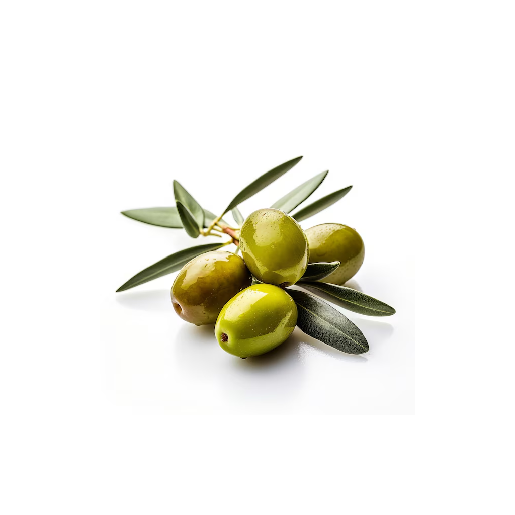 Tranche Mortadelle Olive 120 g