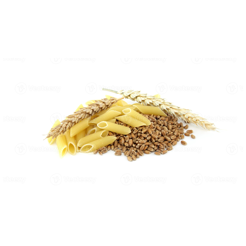 Pate Penne "Panzani" Sac 5 kg
