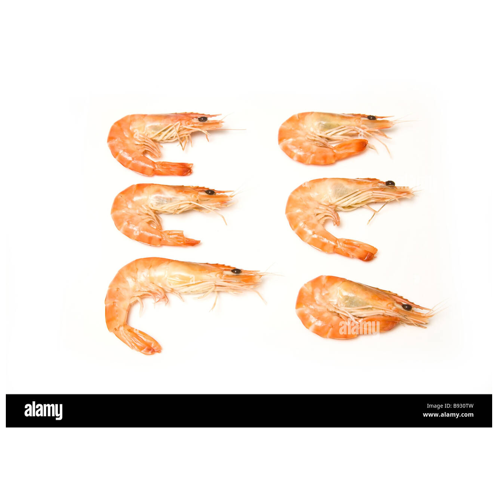 Pop Crevettes "Pacific West"500G